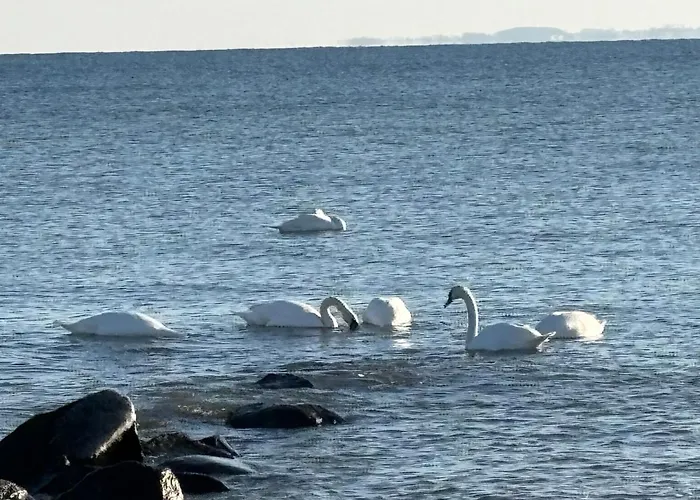 Meerblick-ostsee Apartment Timmendorfer Strand